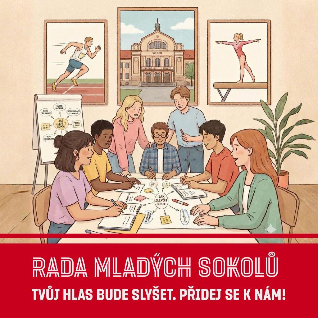 Rada mladých sokolů grafika