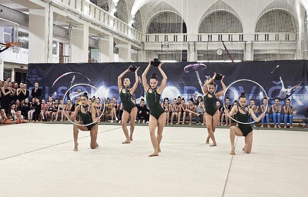 Benefice Sokol Hodkovičky