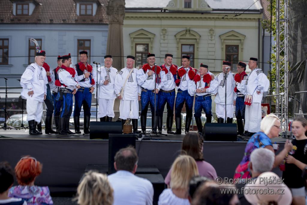 Mužský pěvecký sbor Vlčnov (Sokol Vlčnov)