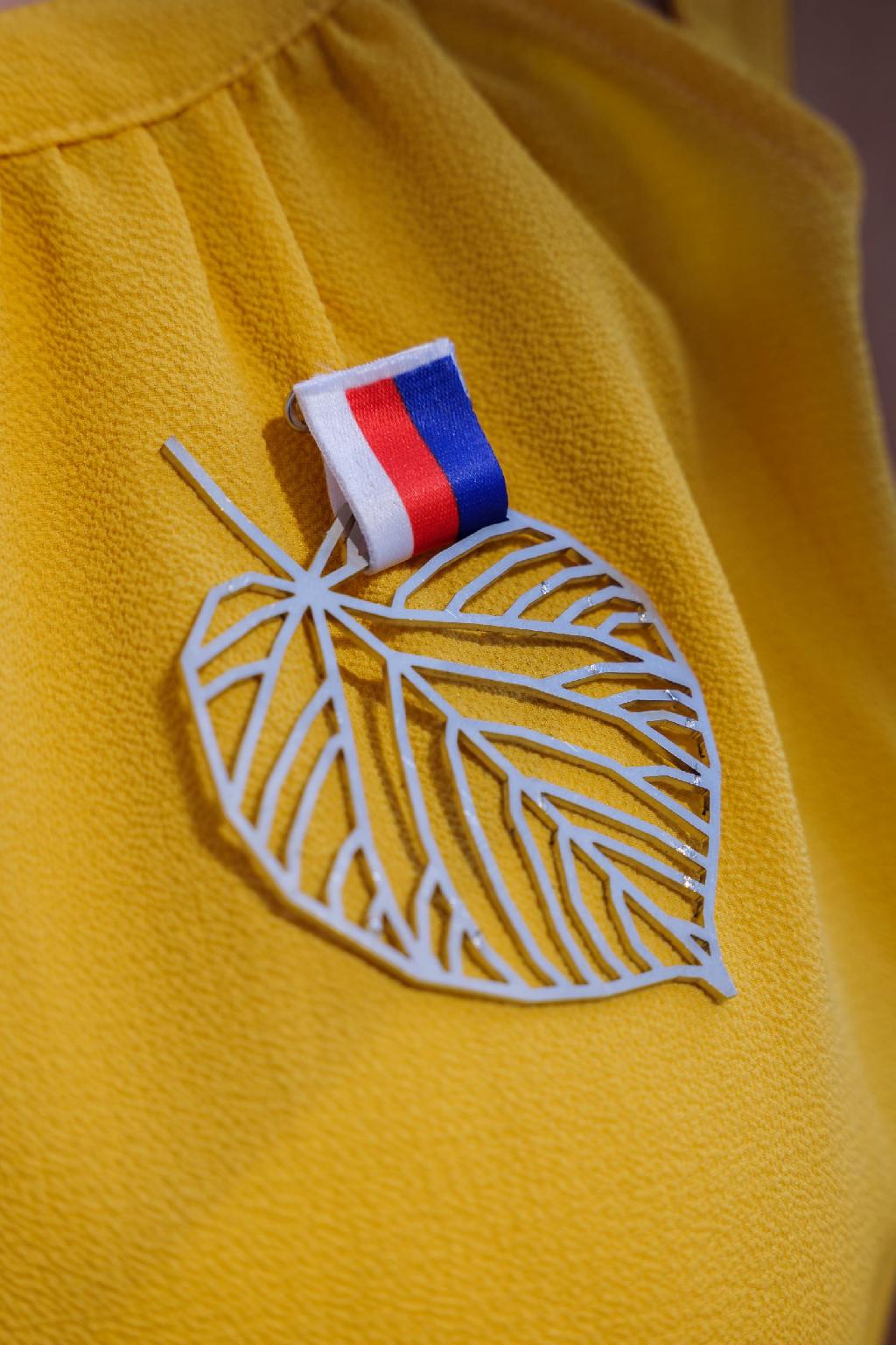 Medaile 1 Sokolský běh republiky